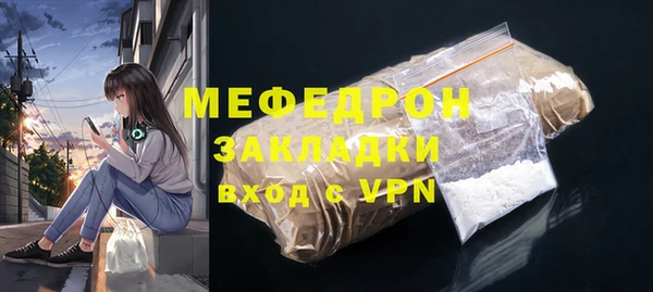 индика Бородино