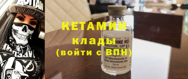 индика Бородино