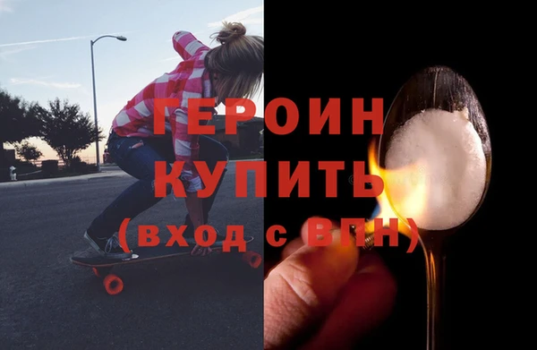 индика Бородино