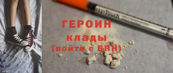 индика Бородино