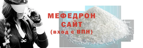индика Бородино