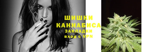 индика Бородино