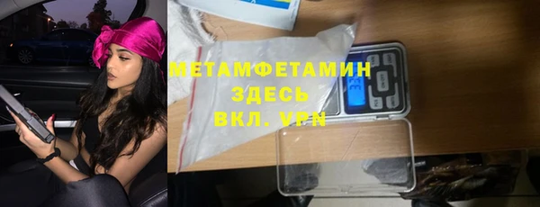 индика Бородино