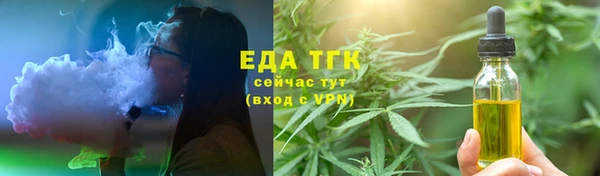 индика Бородино