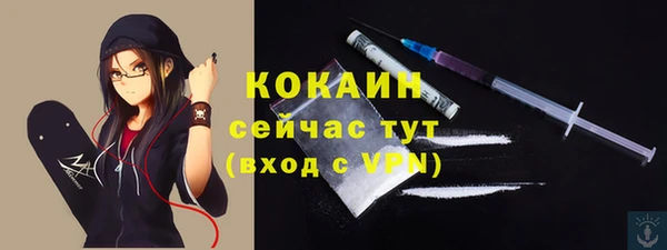 индика Бородино