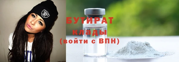 индика Бородино