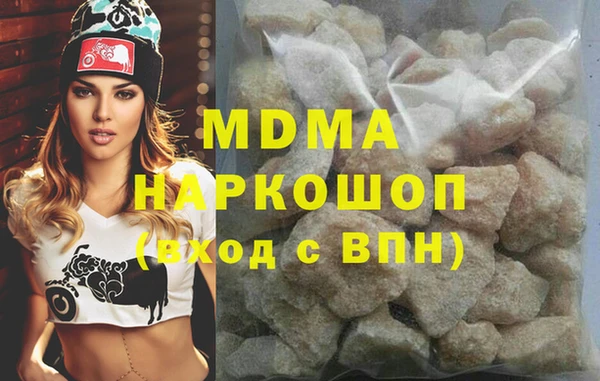индика Бородино