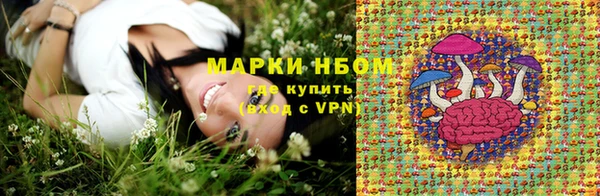 индика Бородино