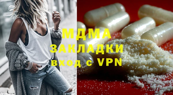 индика Бородино