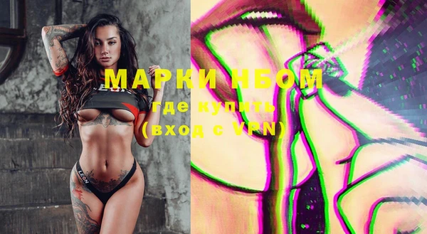 индика Бородино