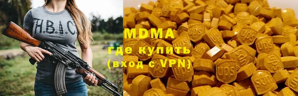 индика Бородино