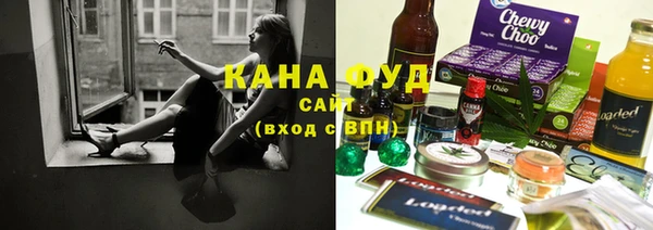 индика Бородино